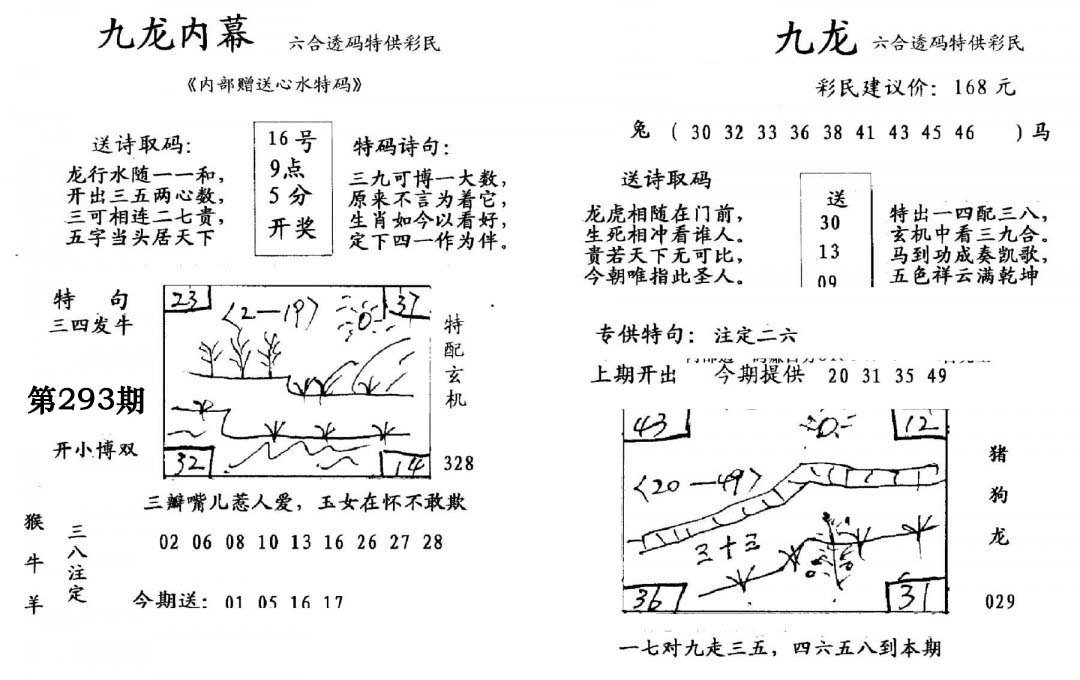 九龙内幕(开奖)-293