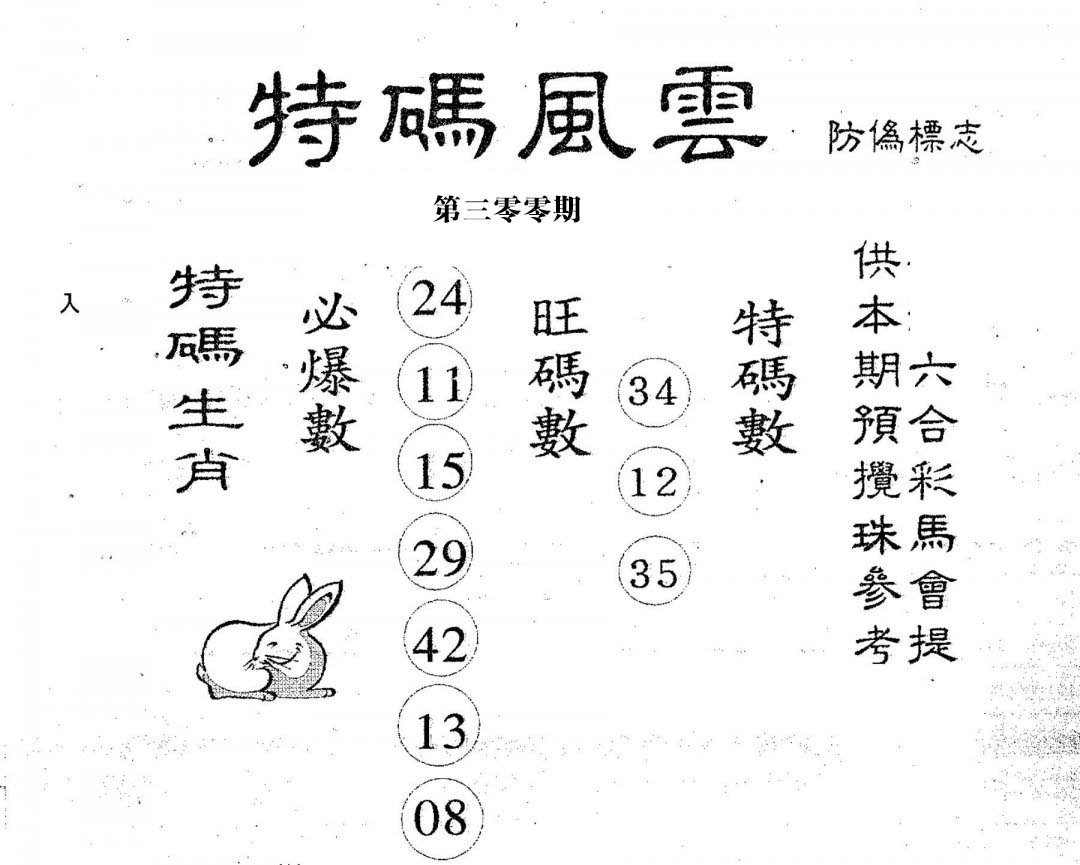 特码风云-300