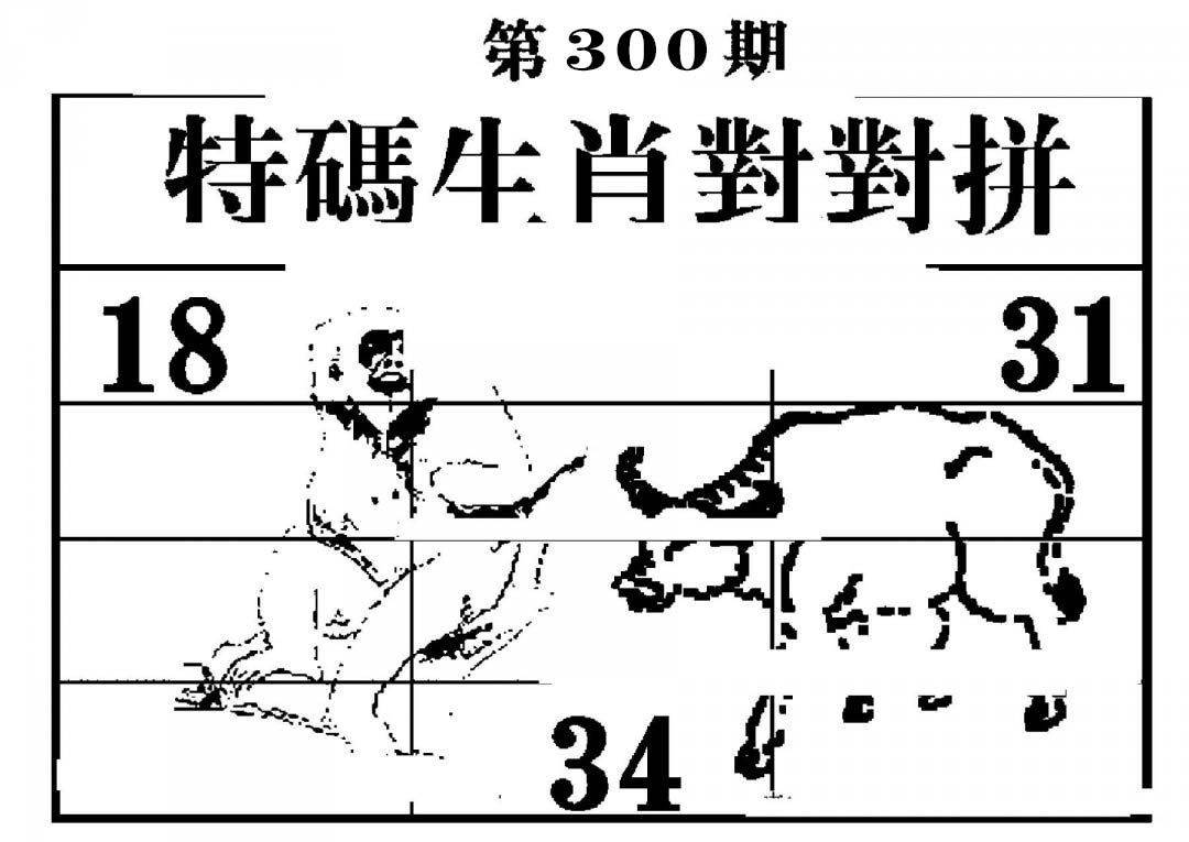 特码生肖对对拼-300