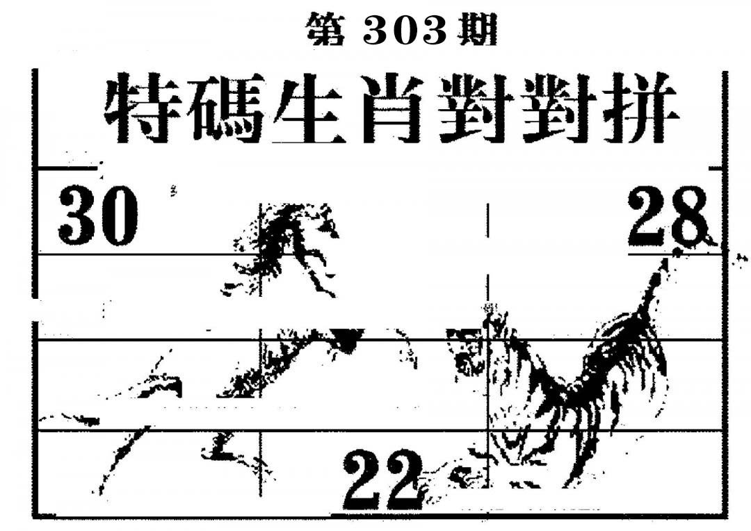 特码生肖对对拼-303