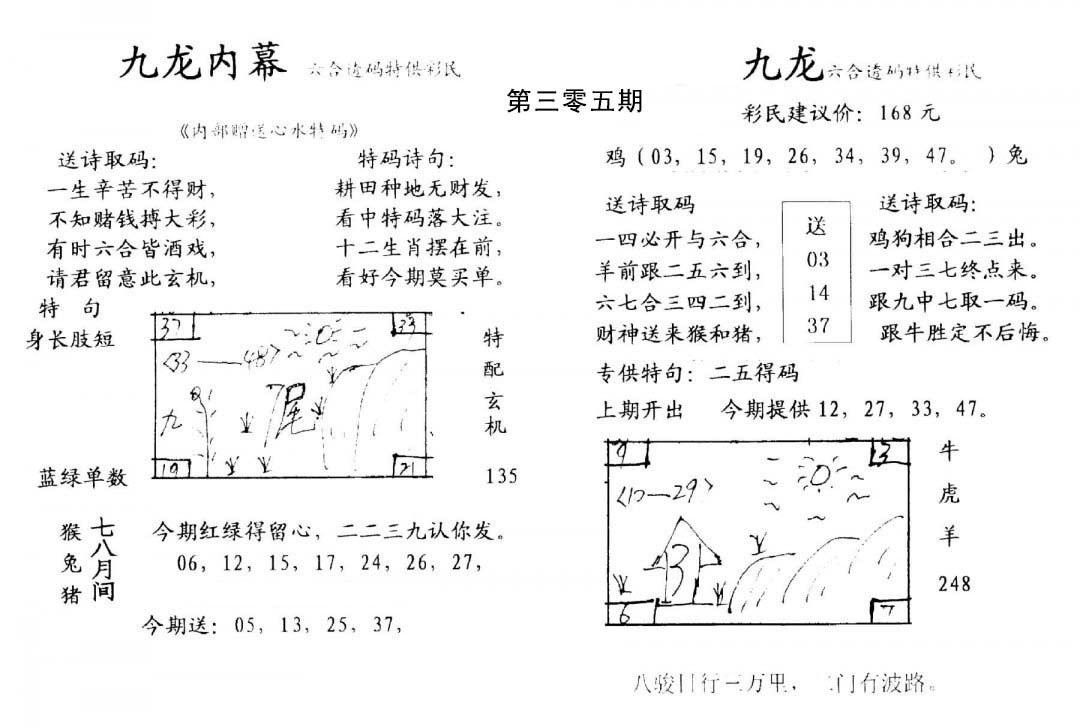 九龙内幕(开奖)-305