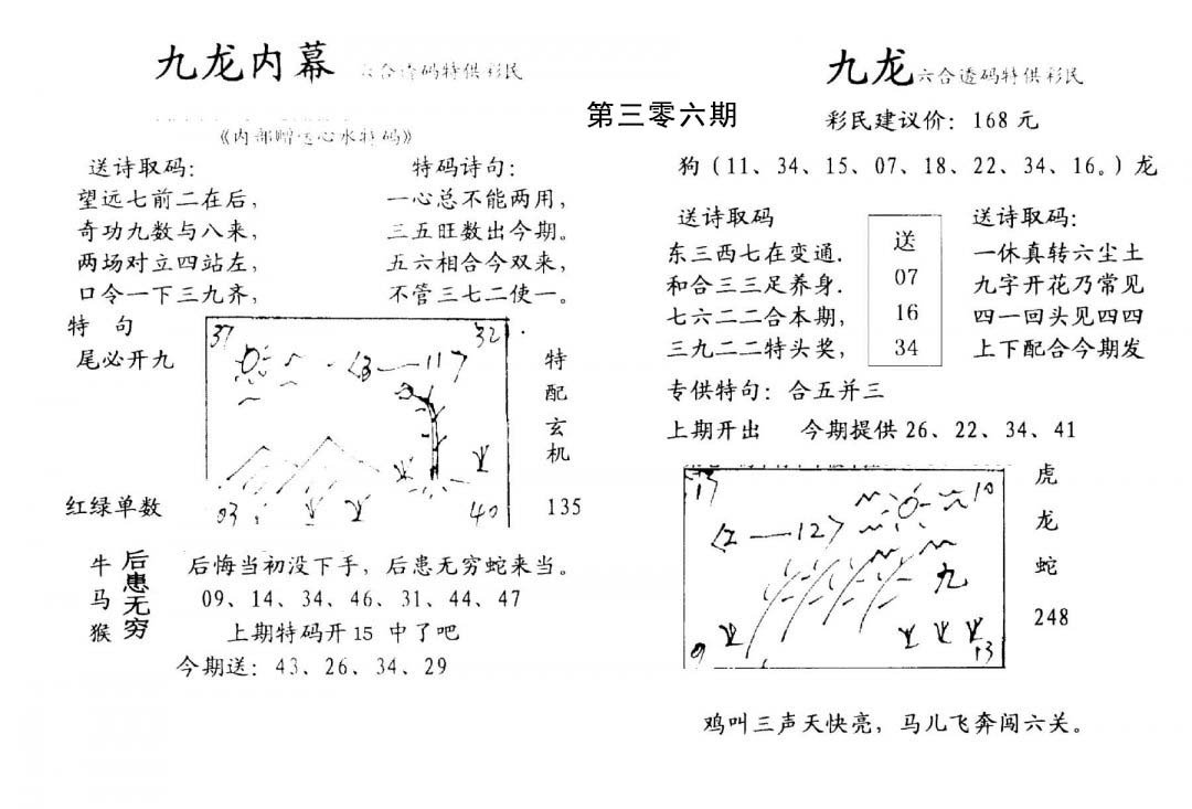 九龙内幕(开奖)-306