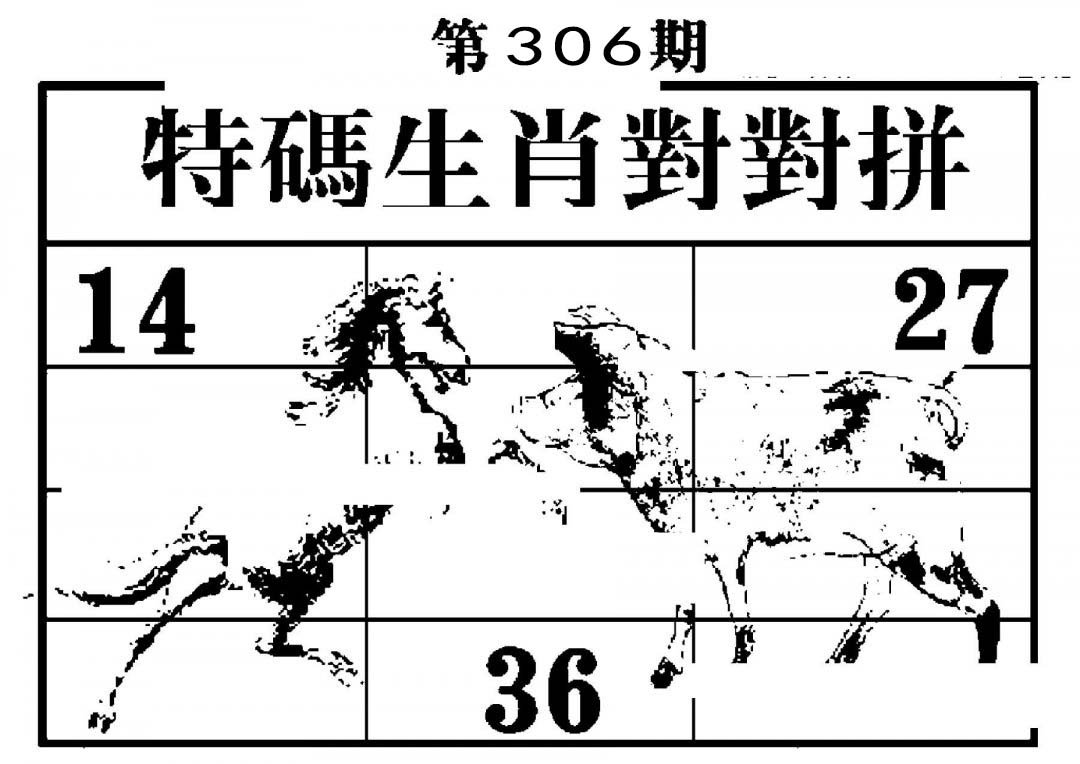 特码生肖对对拼-306