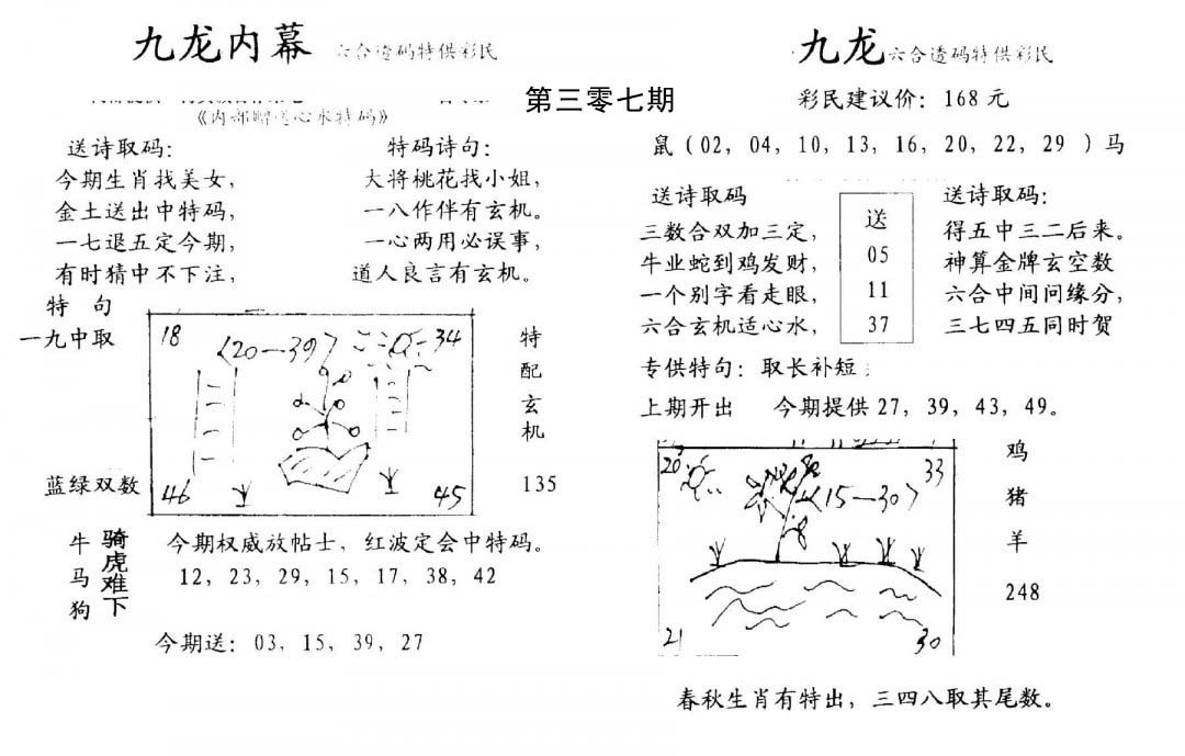 九龙内幕(开奖)-307