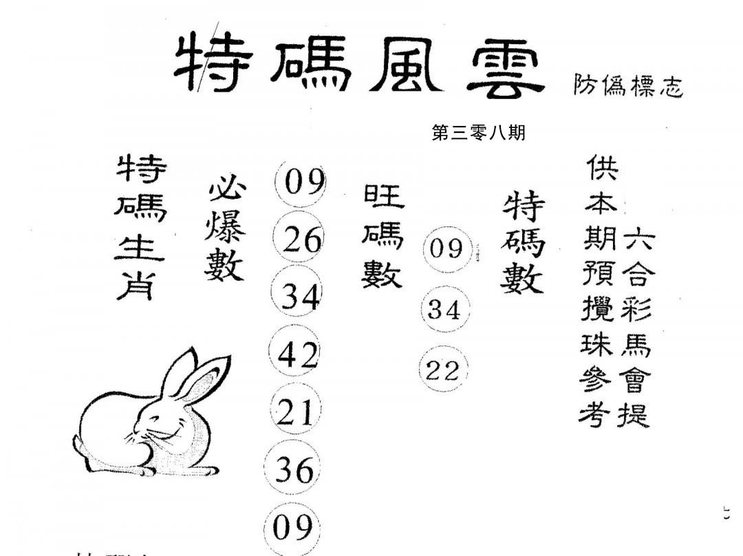 特码风云-308