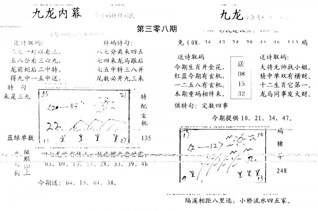 九龙内幕(开奖)-308