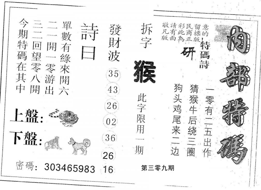 内部特码-309