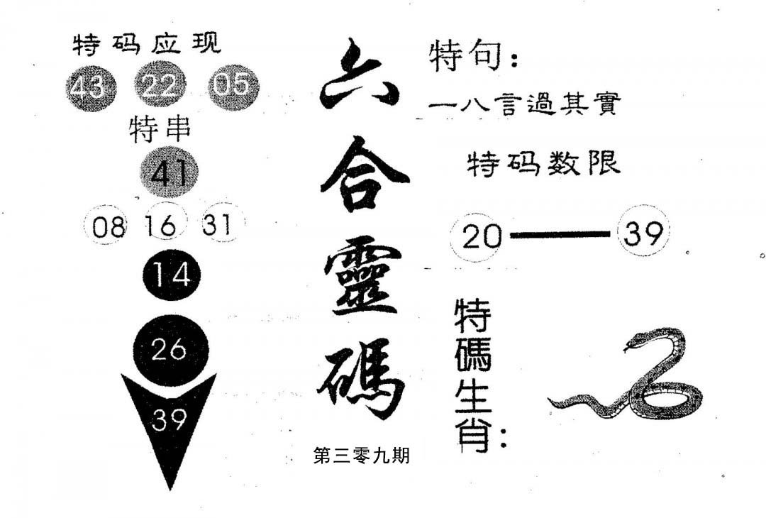 六合灵码-309