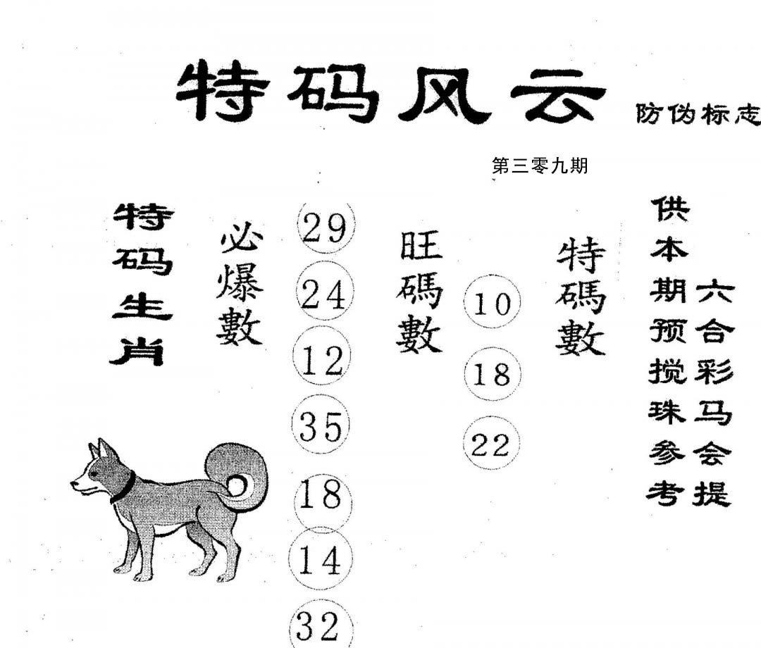 特码风云-309