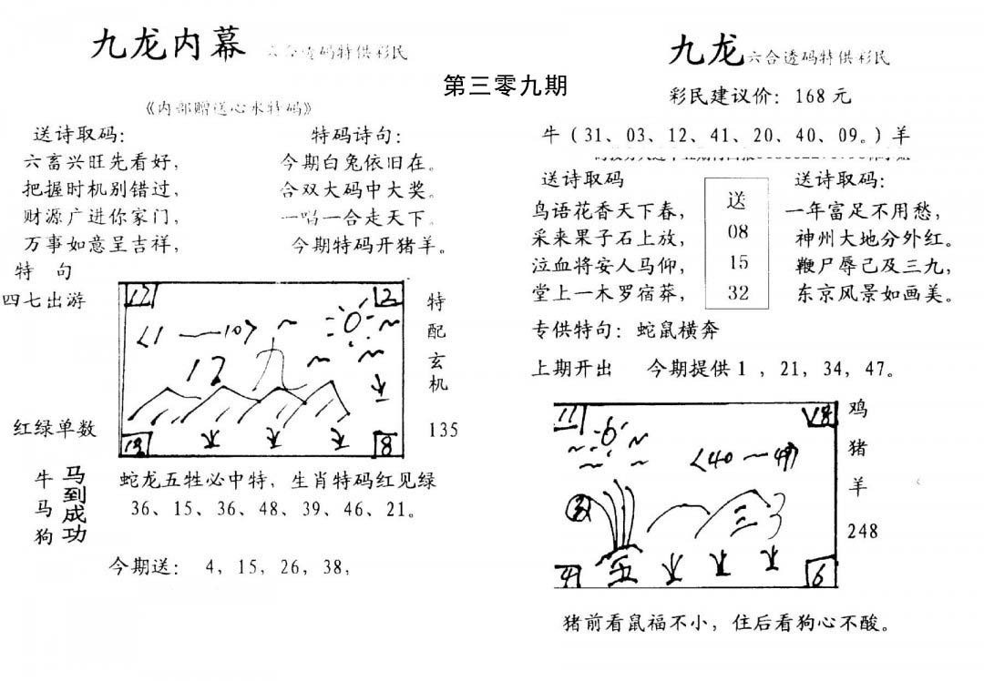 九龙内幕(开奖)-309