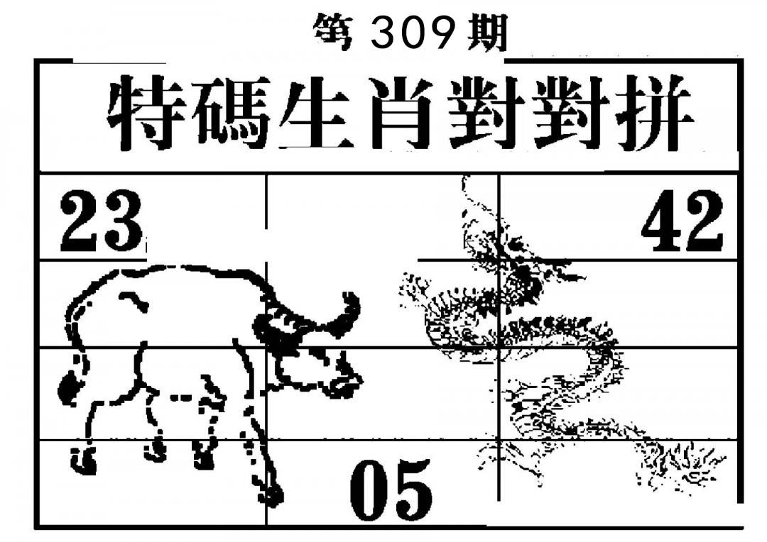 特码生肖对对拼-309