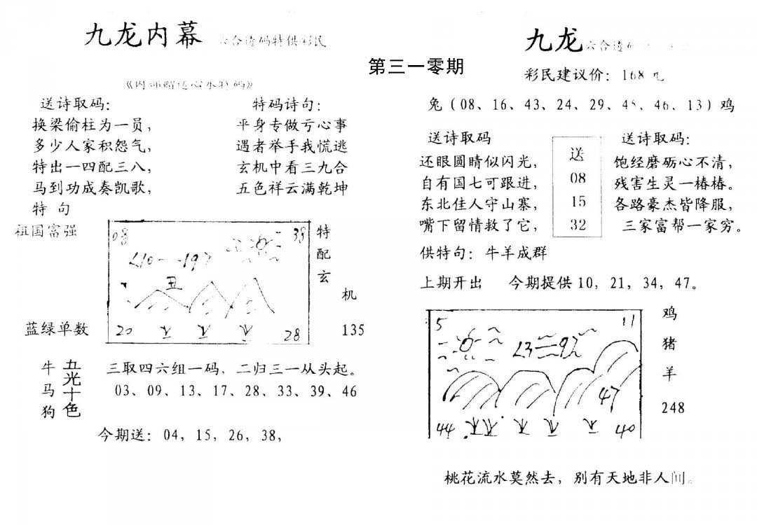 九龙内幕(开奖)-310