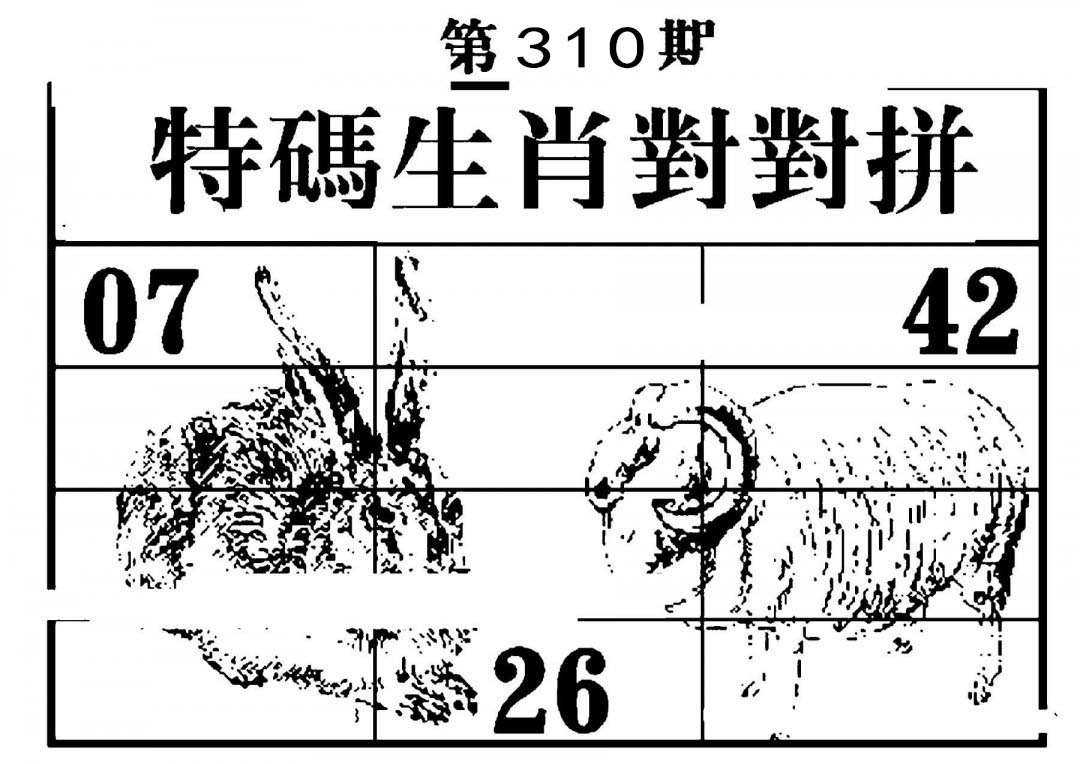 特码生肖对对拼-310