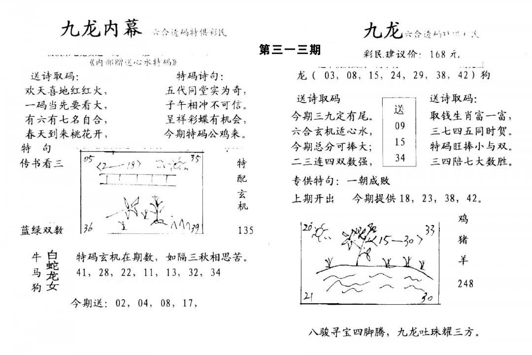 九龙内幕(开奖)-313