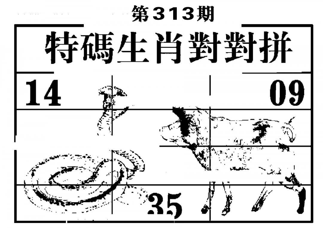 特码生肖对对拼-313