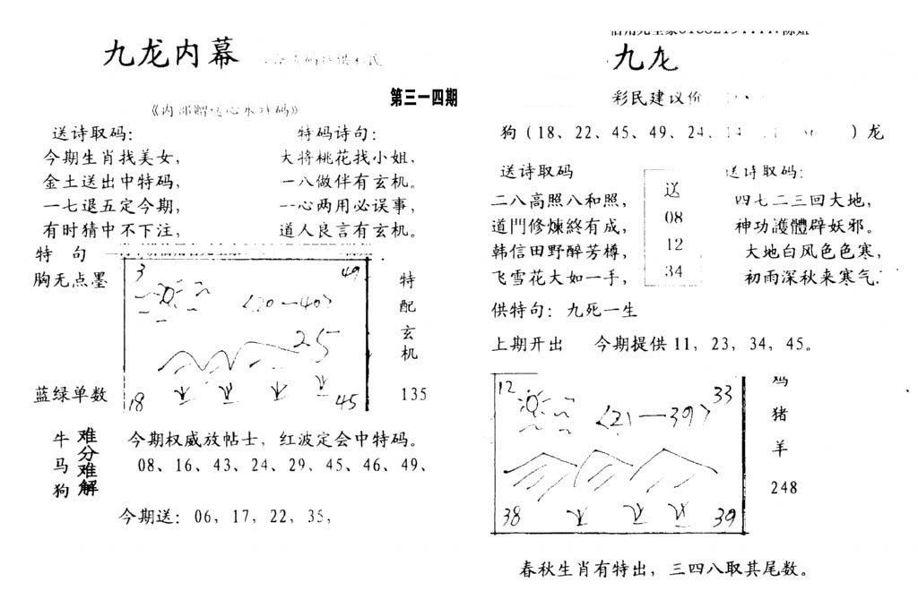 九龙内幕(开奖)-314