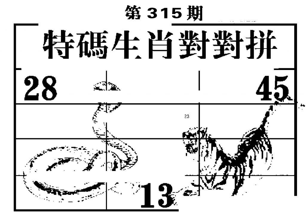 特码生肖对对拼-315