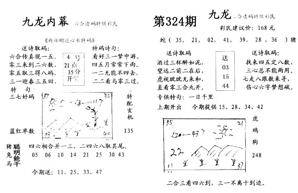 九龙内幕(开奖)-324