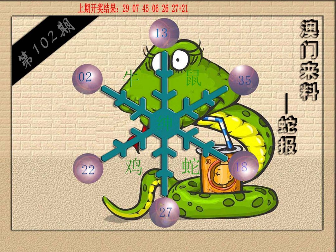 (来料)蛇报-102