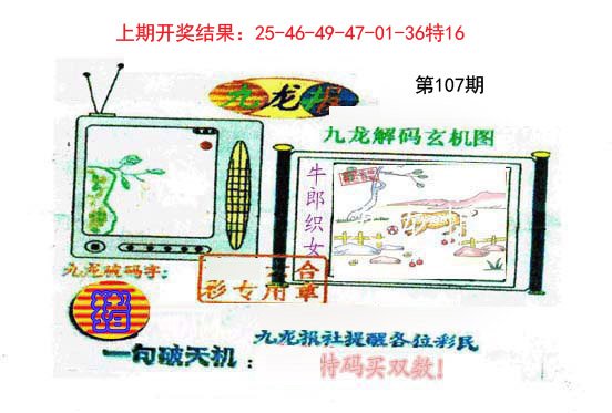 九龙报-107