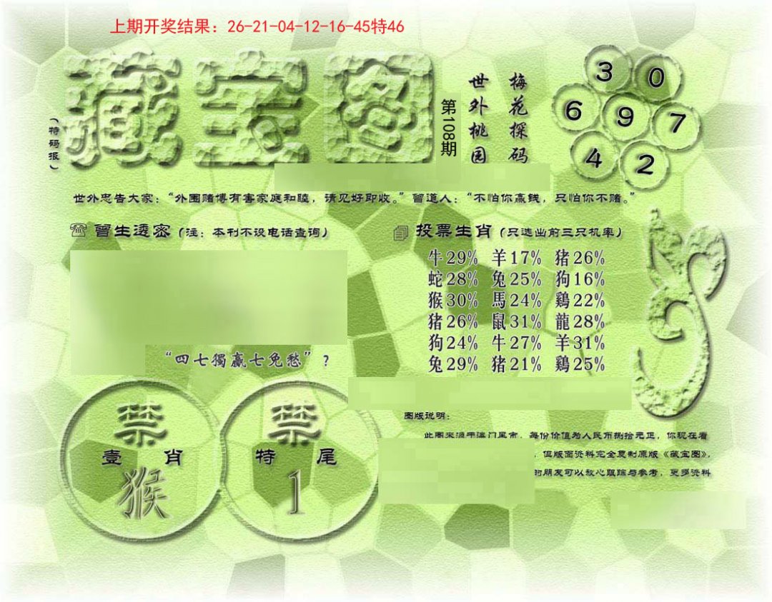 假老藏宝图-108