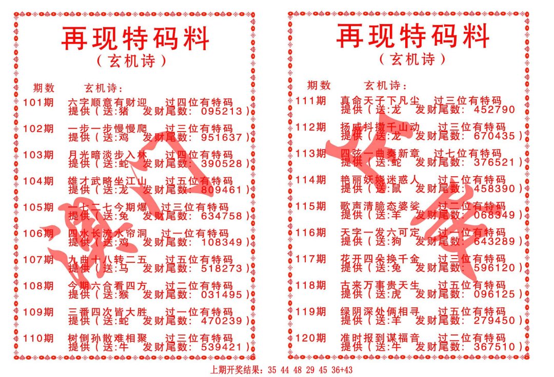 再现特码料-113