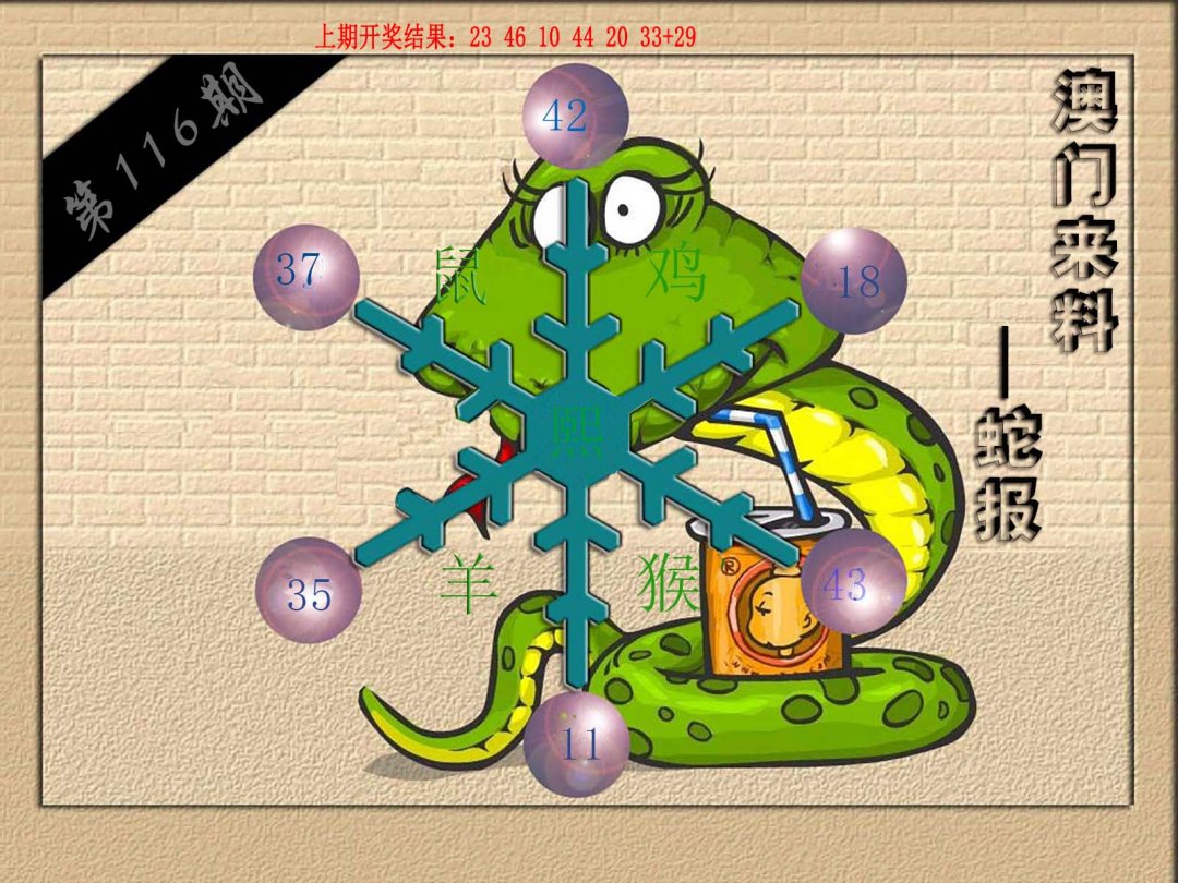 (来料)蛇报-116