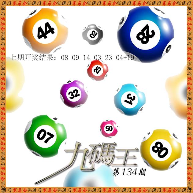 九码王-134