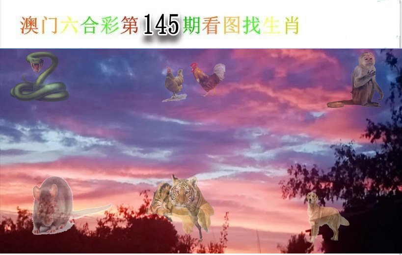 看图找生肖-145