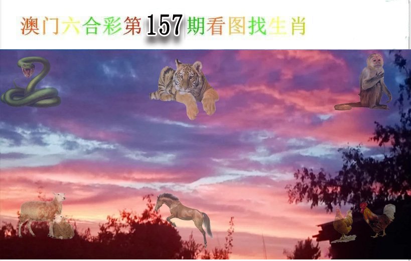 看图找生肖-157