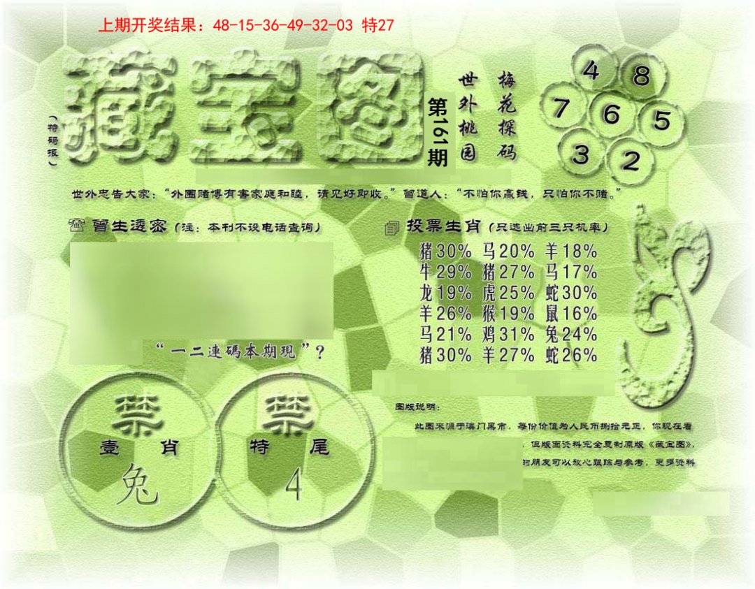 假老藏宝图-161