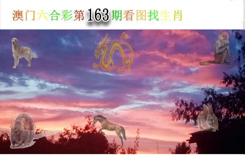 看图找生肖-163