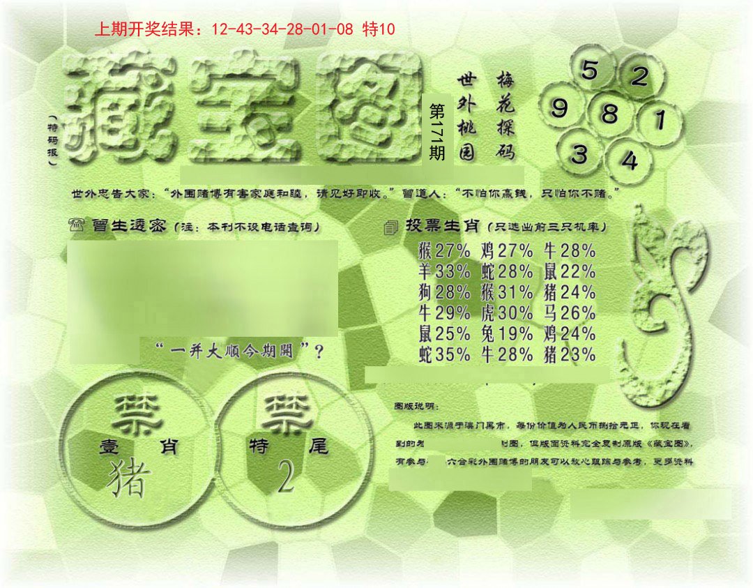 假老藏宝图-171