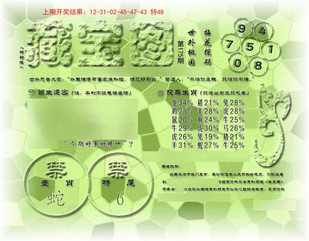 假老藏宝图-175