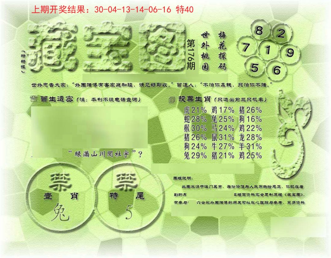 假老藏宝图-176