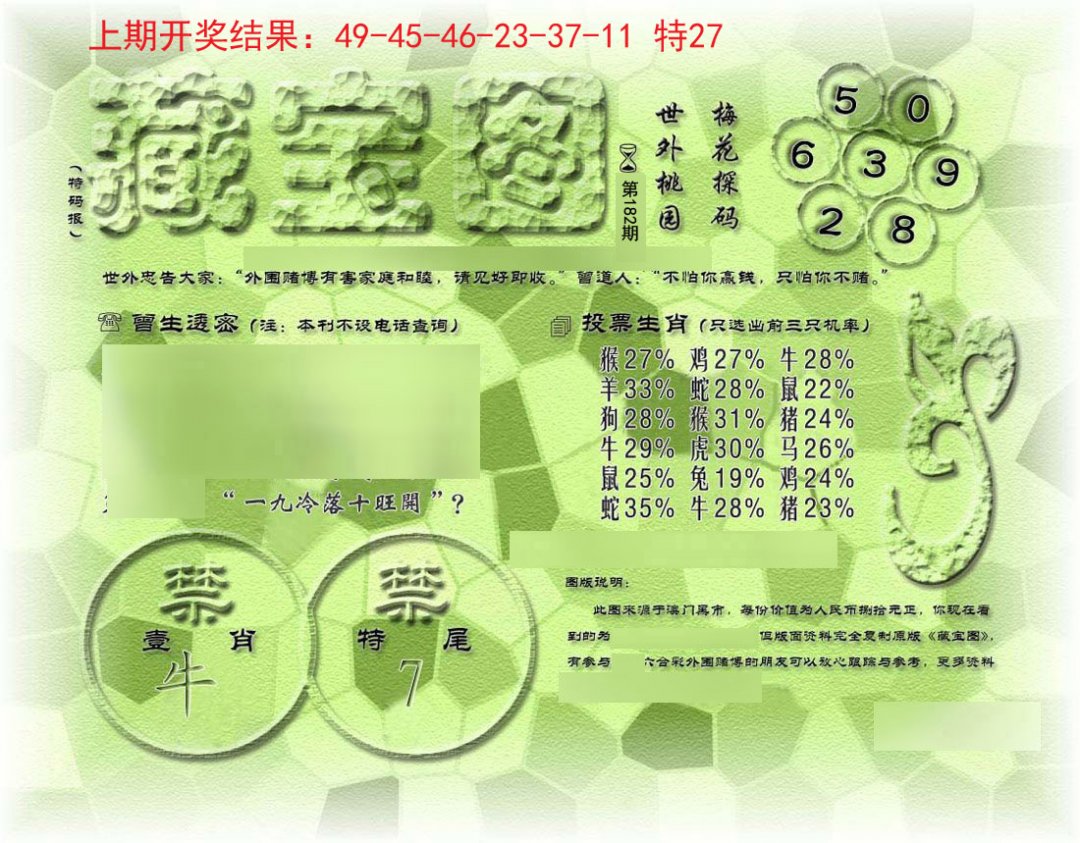 假老藏宝图-182