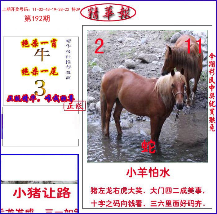 新精华报报-192