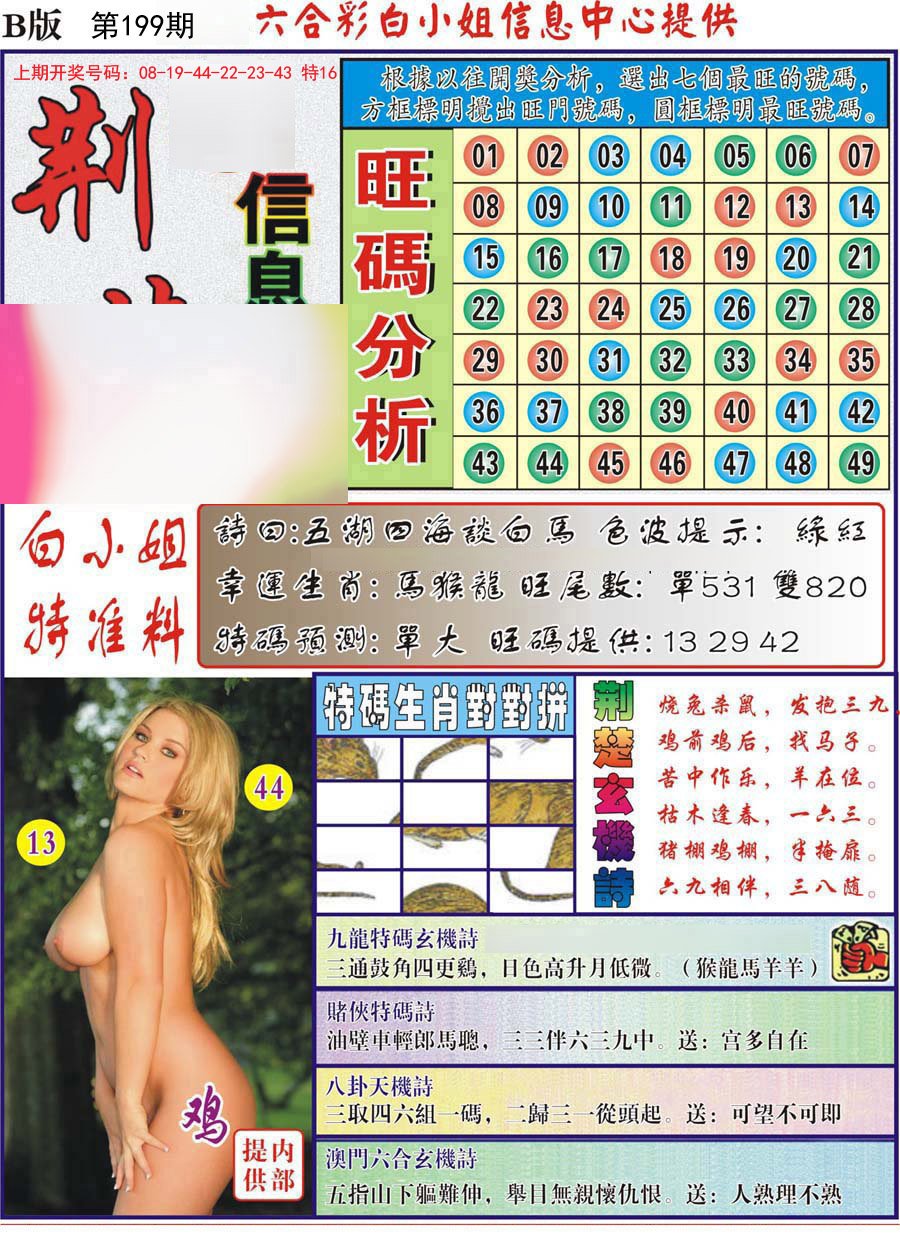 荆楚信息玄机B-199