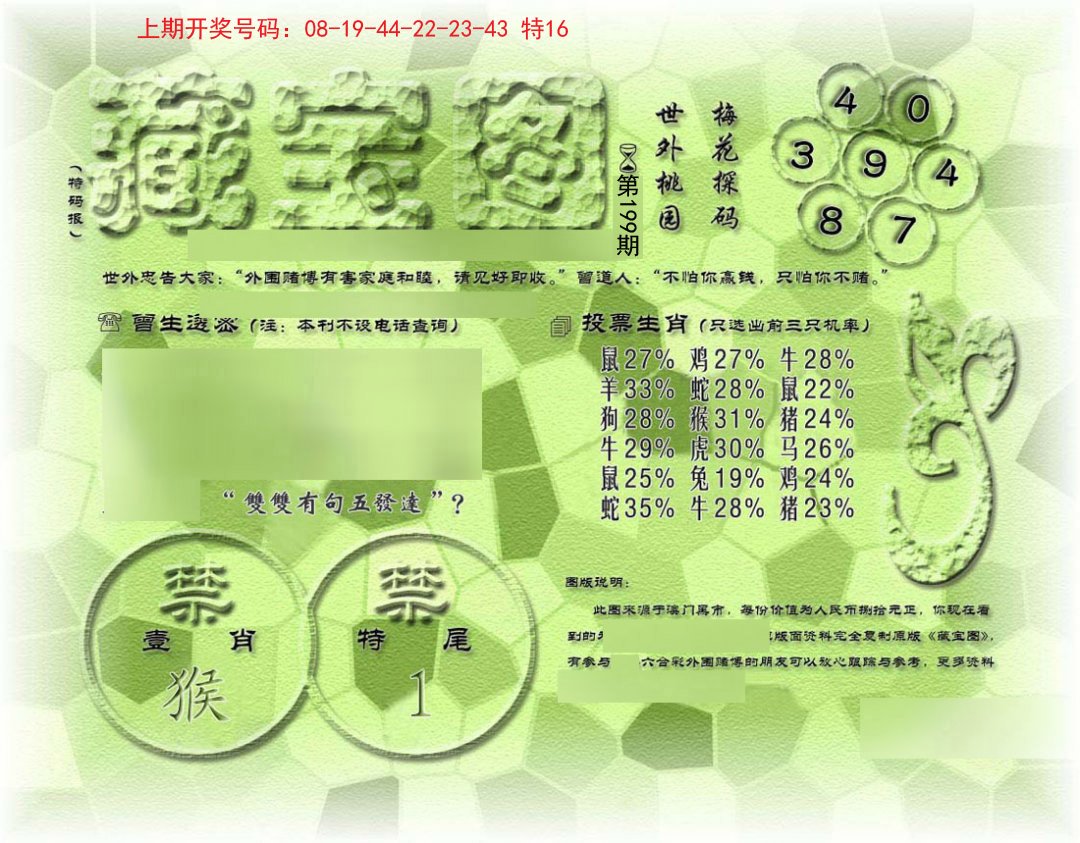 假老藏宝图-199