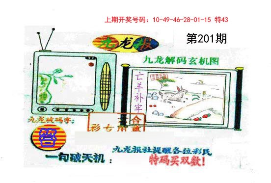 九龙报-201