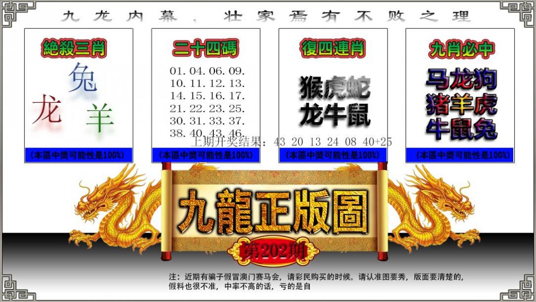 九龙正版图-202