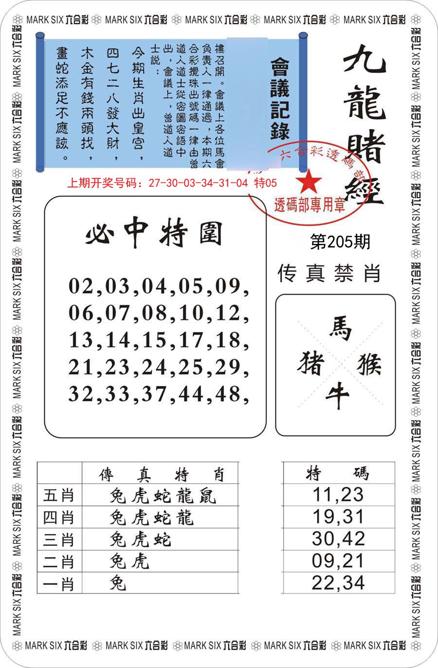 九龙赌经-205