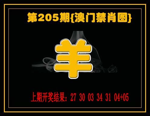 九龙禁一肖-205