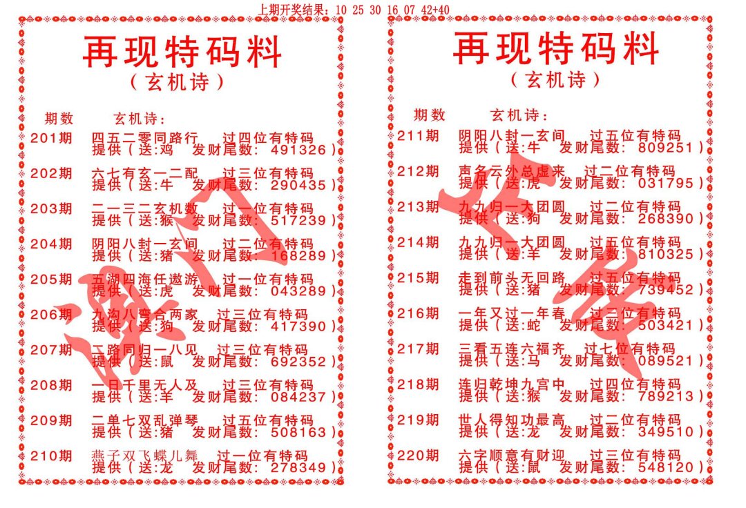 再现特码料-206