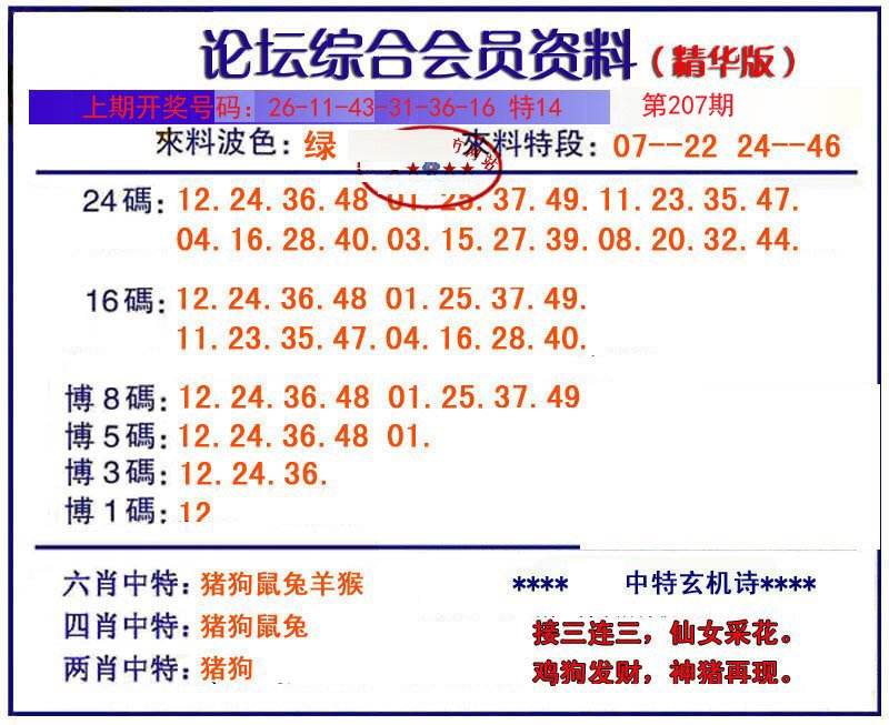 综合会员资料-207