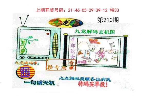 九龙报-210