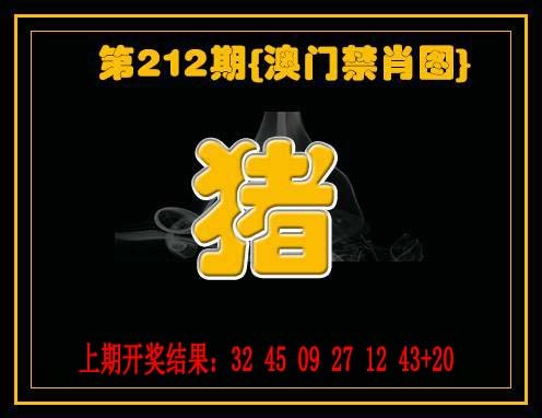 九龙禁一肖-212