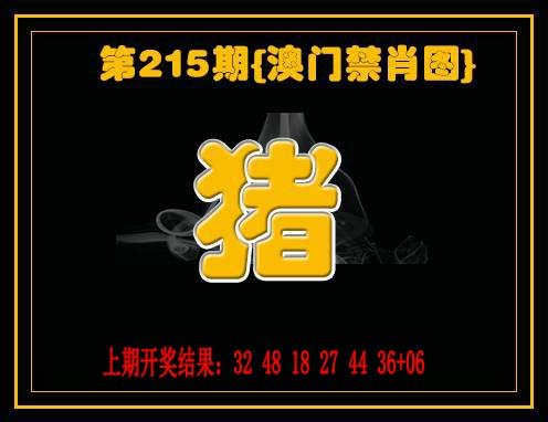 九龙禁一肖-215