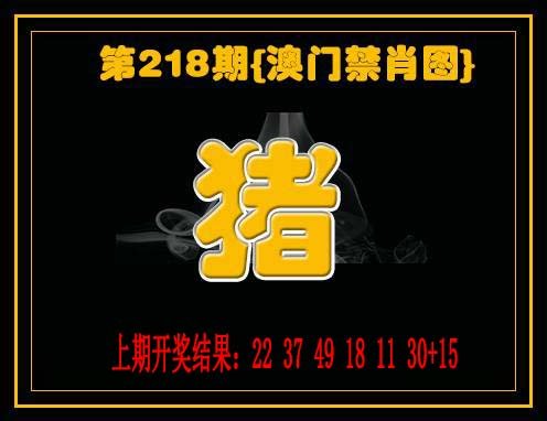 九龙禁一肖-218