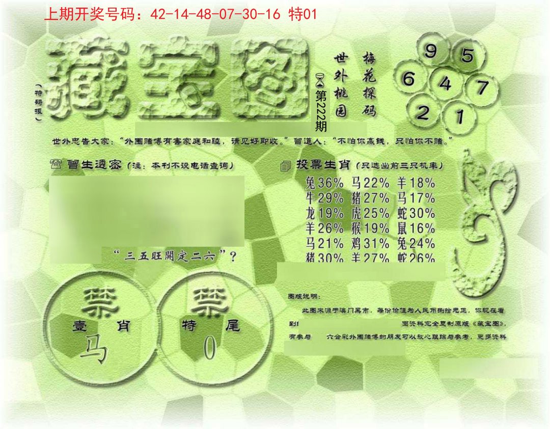 假老藏宝图-222